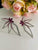 Paparazzi Accessories:  January 2024 Life of the Party - 5 Piece Set